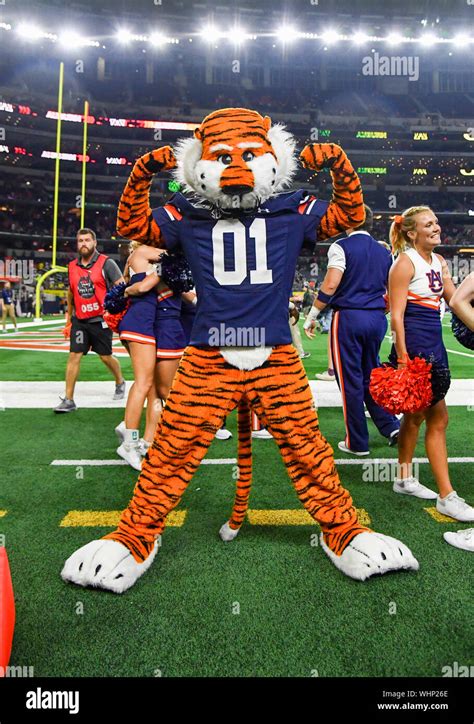 auburn university tiger|auburn tigers latest news.